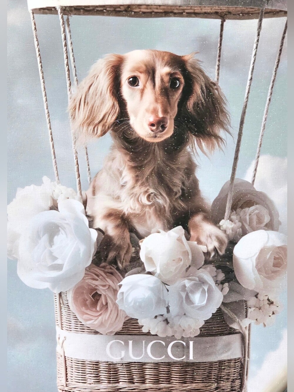 Gucci Brown Long Haired Dachshund with White and Cream Roses